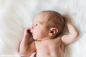 三鹿改名叫什么名字：三鹿集團(tuán)在京津冀市場(chǎng)占有率已達(dá)42%