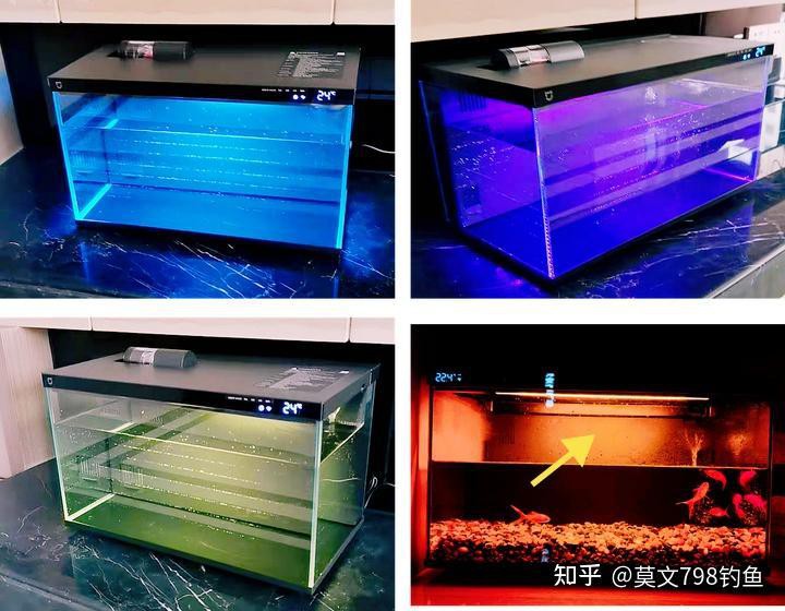 南譙水族店：滁州市南譙區有哪些水族店