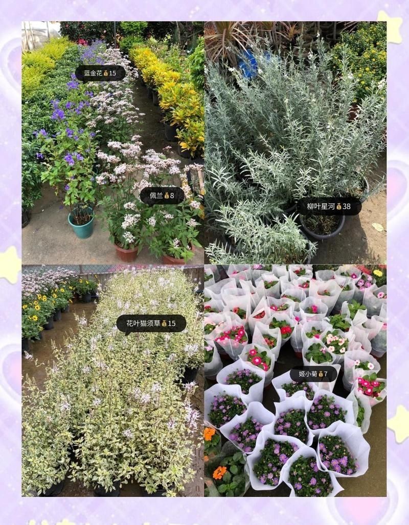 廣州花卉博覽園：華南地區(qū)規(guī)模最大、功能最全的花卉產(chǎn)業(yè)綜合園區(qū) 廣州花卉博覽園：華南地區(qū)規(guī)模最大、功能最全的花卉產(chǎn)業(yè)綜合園區(qū) 全國水族館企業(yè)名錄 第1張