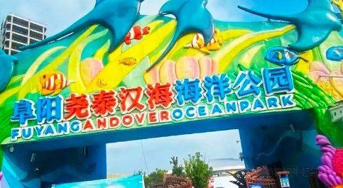阜陽水族店：關(guān)于阜陽市水族店行業(yè)的綜合概述