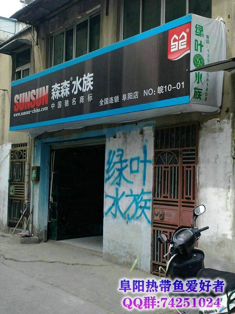 阜陽水族店：關(guān)于阜陽市水族店行業(yè)的綜合概述