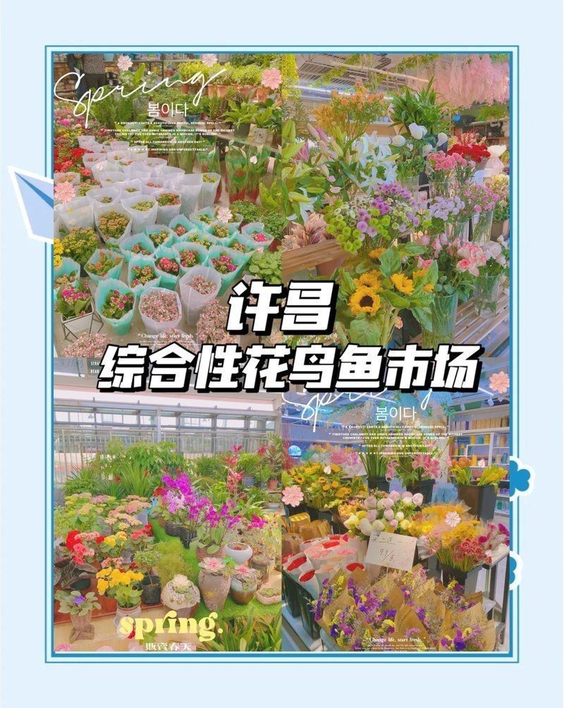 許昌魚缸批發市場：許昌魚缸批發業務主要集中在以下幾個區域在以下幾個區域