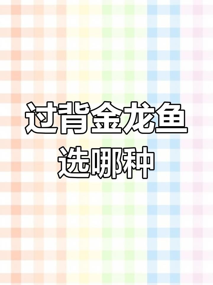 十大過背金龍魚品種：過背金龍魚作為觀賞魚中的頂級品種