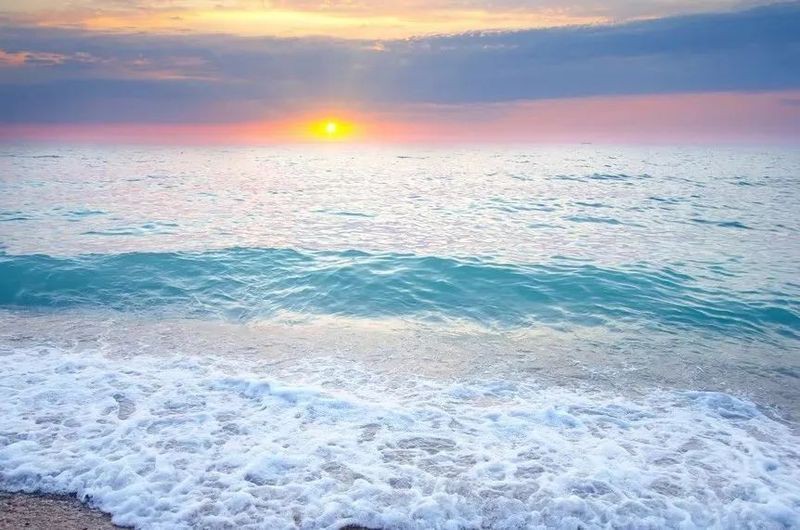 海洋科普知識：關于海洋科普知識的綜合介紹