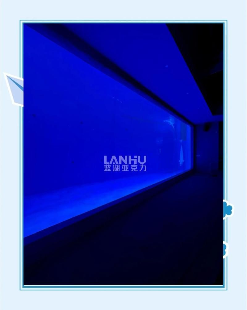 濟寧魚缸定做：關于濟寧魚缸定做的綜合指南