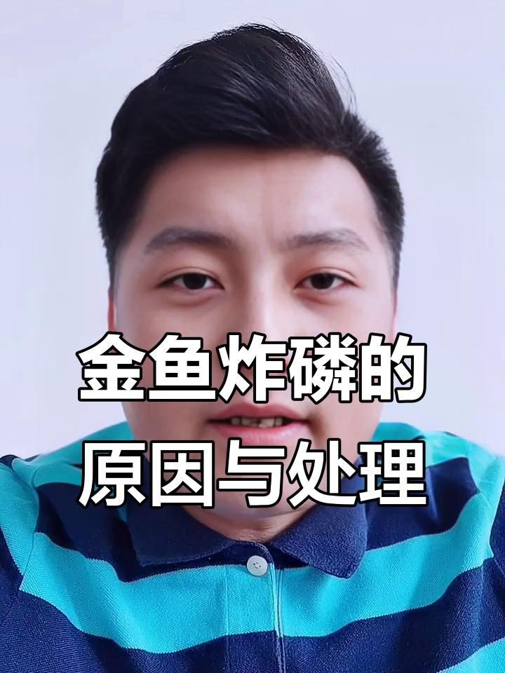 如何預防魚炸鱗的發生？：如何預防金魚炸鱗和腸炎