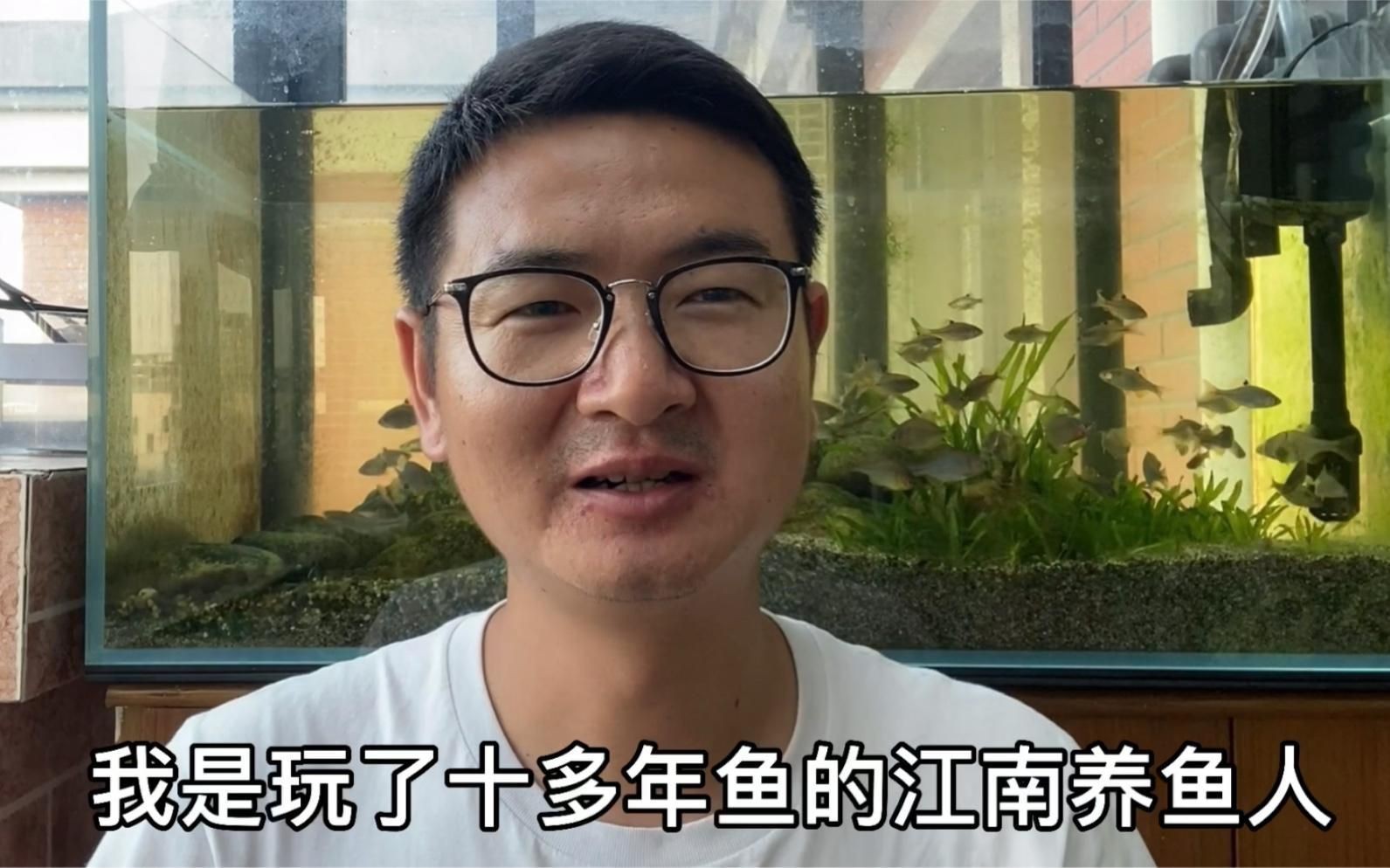 如何預防魚炸鱗的發生？：如何預防金魚炸鱗和腸炎