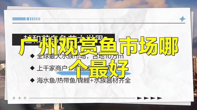 廣州賣觀賞魚的地方：廣州花鳥魚蟲新世界(、芳村花鳥魚蟲批發市場 廣州賣觀賞魚的地方：廣州花鳥魚蟲新世界(、芳村花鳥魚蟲批發市場 全國水族館企業名錄 第10張