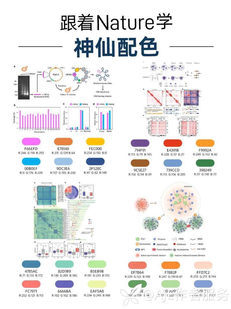35公分紅龍最佳配色表：35公分紅龍魚飼養(yǎng)環(huán)境及觀賞需求專業(yè)配色方案