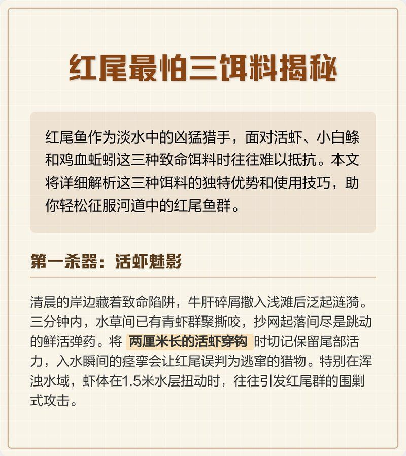 紅尾最怕三個餌料：紅尾魚三大致命餌料全解析紅尾魚三大致命餌料全解析