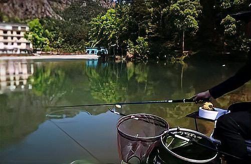 紅尾最怕三個餌料：紅尾魚三大致命餌料全解析紅尾魚三大致命餌料全解析