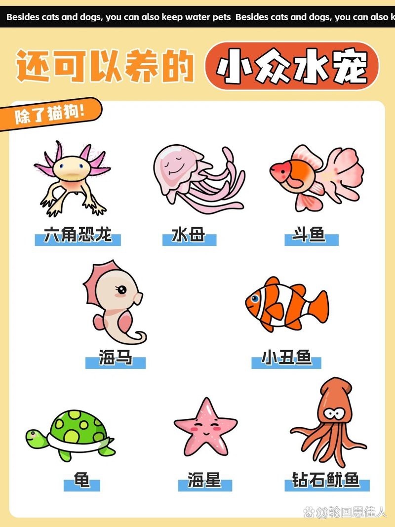 世界十大水族寵物：世界十大水族寵物鑒賞