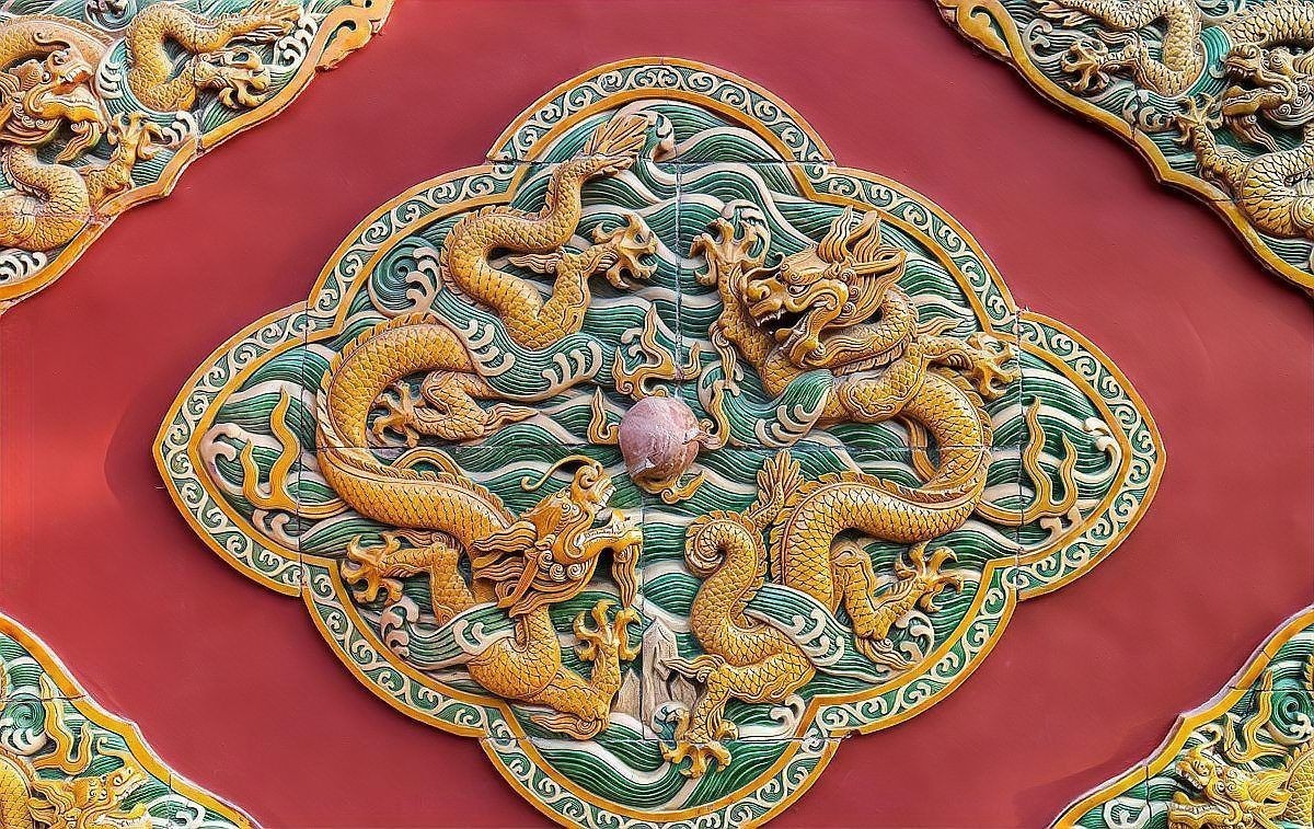 恐龍王魚一般什么檔次：農林博物院里面的“虎”以虎為名的動物(上)