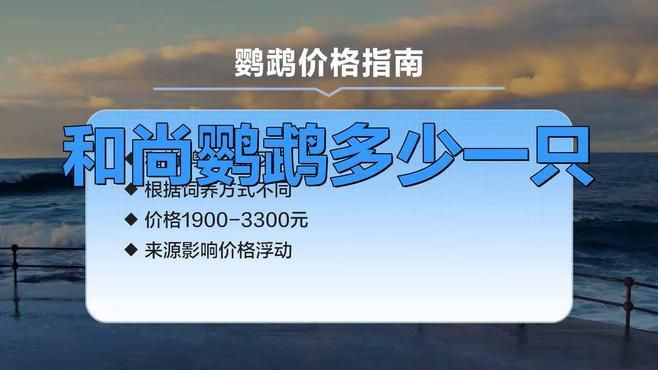 和尚鸚鵡多少價位一只：和尚鸚鵡多少一只