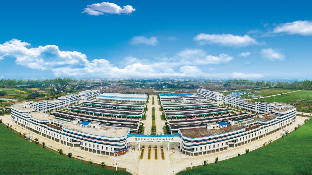 荊門水族批發市場：關于荊門水族批發市場的綜合信息