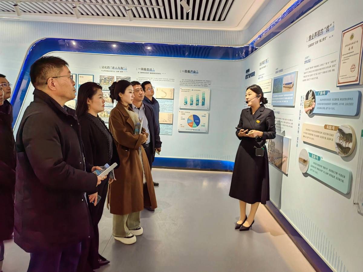 濱州水族批發市場：關于濱州水族批發市場的相關信息