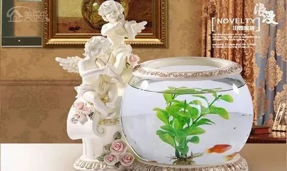 邢臺魚缸維護(hù)：邢臺地區(qū)魚缸科學(xué)維護(hù)全攻略