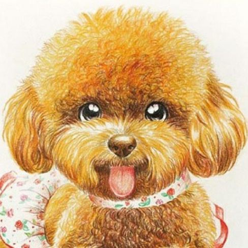 招財貓魚為什么不建議養(yǎng)：招財貓魚為何不建議養(yǎng)