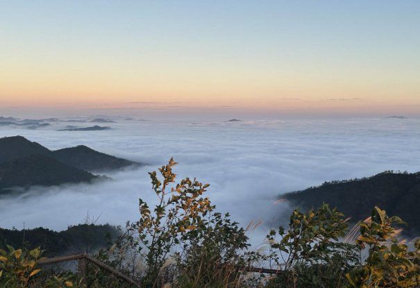 文山壯族苗族自治州魚缸定做：上門定做魚缸避坑指南