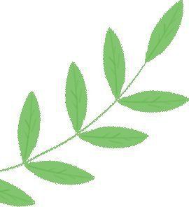 白山龍魚店：白山地區(qū)與“龍魚”相關(guān)的店鋪主要有兩類信息可供參考