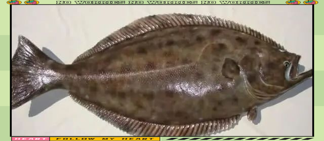 世界十大稀有魚：智能模式回答完成調用工具：盧浮瀕危的藍色詩篇——