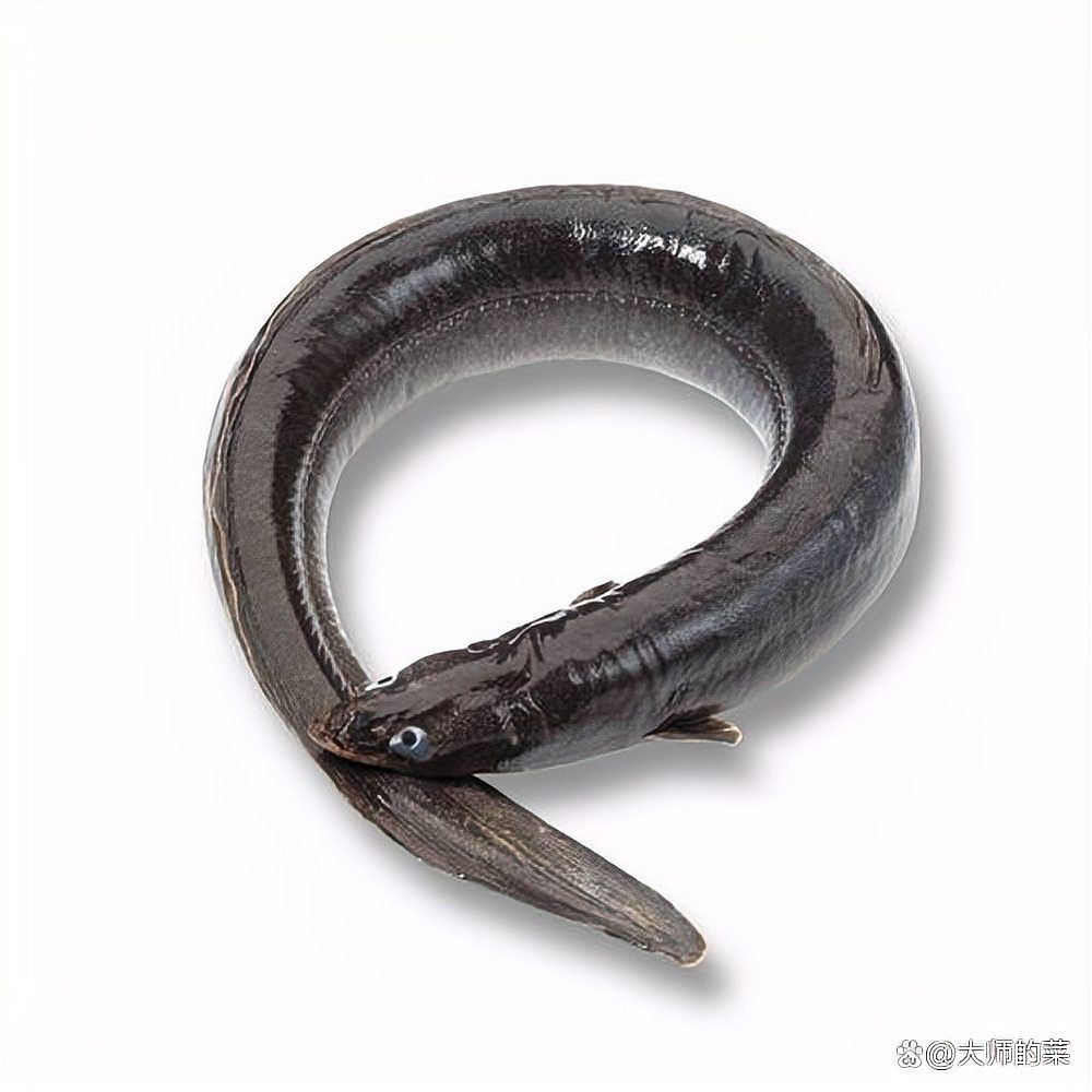 很多小刺的鰻魚是假的嗎：鰻魚“小刺多”的現象及選購技巧及選購技巧及選購技巧