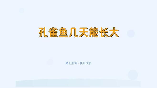 孔雀魚幾個(gè)月開始猛長(zhǎng)：《孔雀魚2月齡成長(zhǎng)對(duì)照表星際的潛水員lucy
