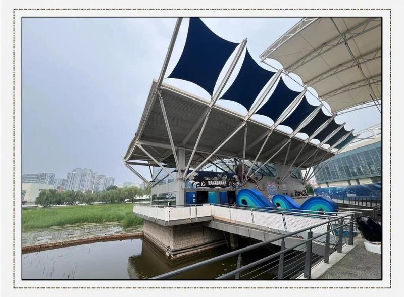 朝陽水族店:北京市朝陽區水族店 全國水族館企業名錄 第11張 朝陽水族店:北京市朝陽區水族店 朝陽水族店:北京市朝陽區水族店 全國水族館企業名錄 第11張