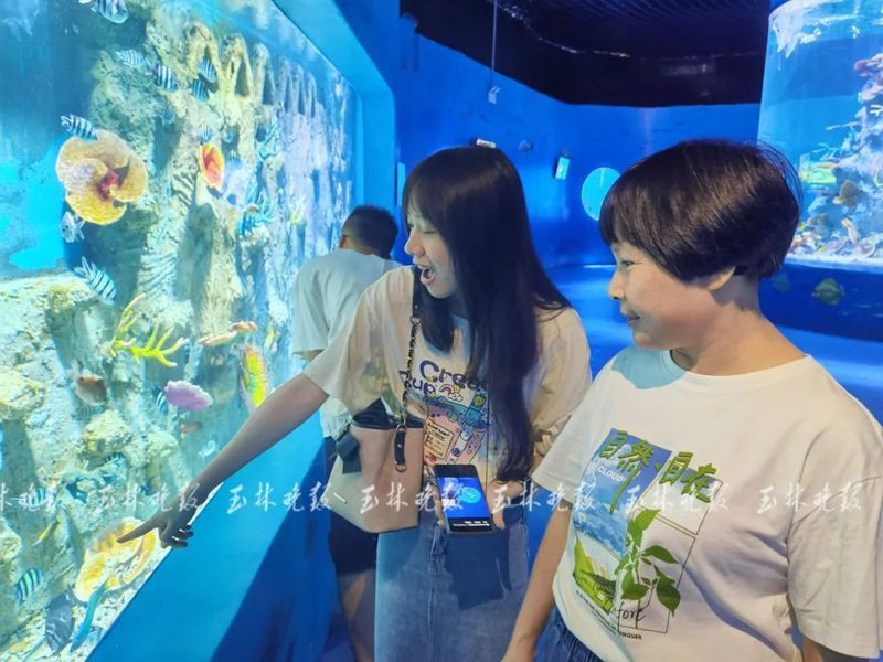 玉林水族館:玉林水族館的生態啟示錄 全國水族館企業名錄 第1張 玉林水族館:玉林水族館的生態啟示錄 玉林水族館:玉林水族館的生態啟示錄 全國水族館企業名錄 第1張