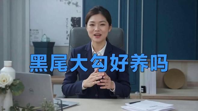 紅尾美人魚和黑尾大勾哪個好養嗎：紅尾美人魚與黑尾大勾的飼養對比分析
