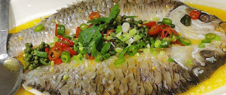 上海忘不了魚多少錢一斤：天價珍饈美食忘不了魚