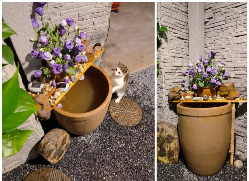 河池魚缸批發市場：河池市金城江區森森水族用品館