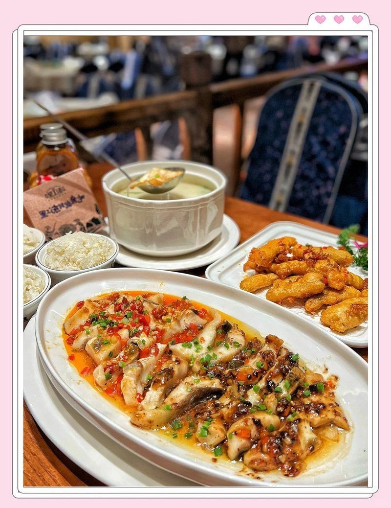 惠州龍魚店：關于惠州龍魚店的綜合信息