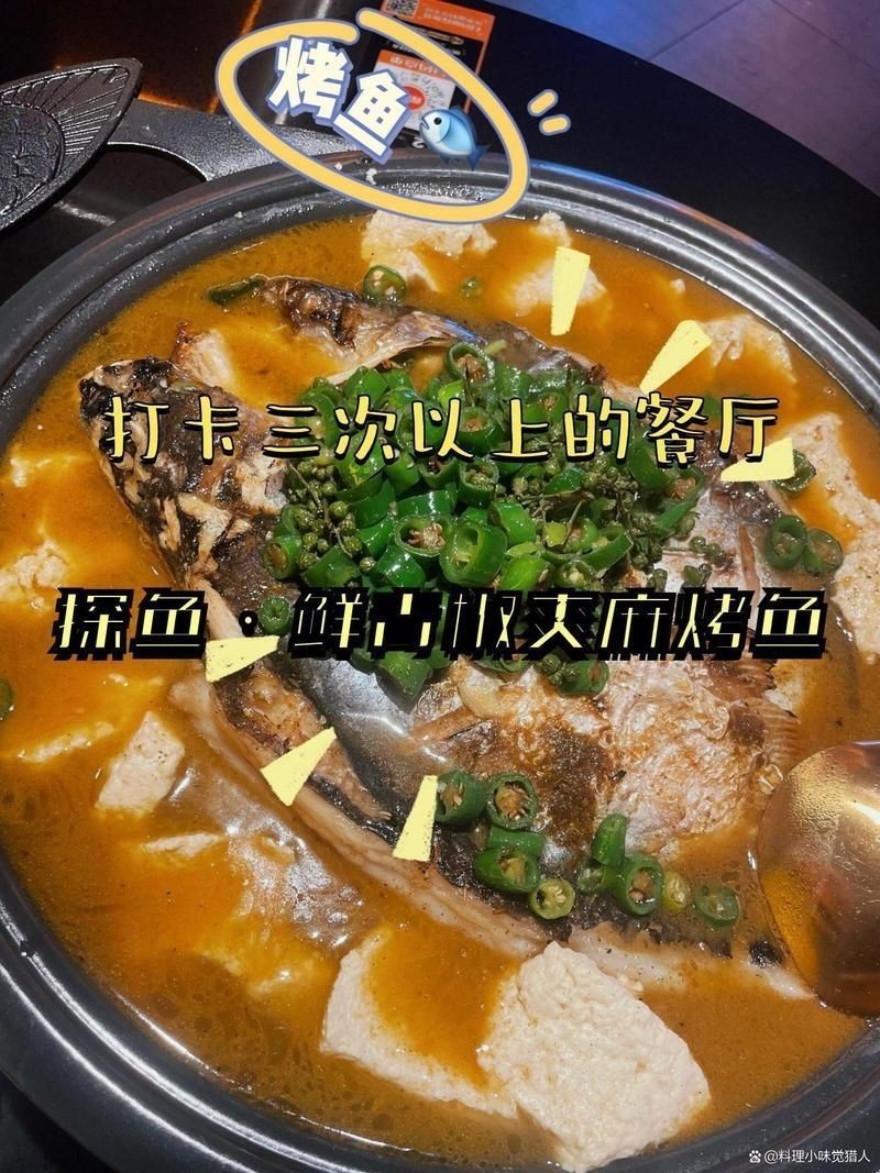 惠州龍魚店：關于惠州龍魚店的綜合信息