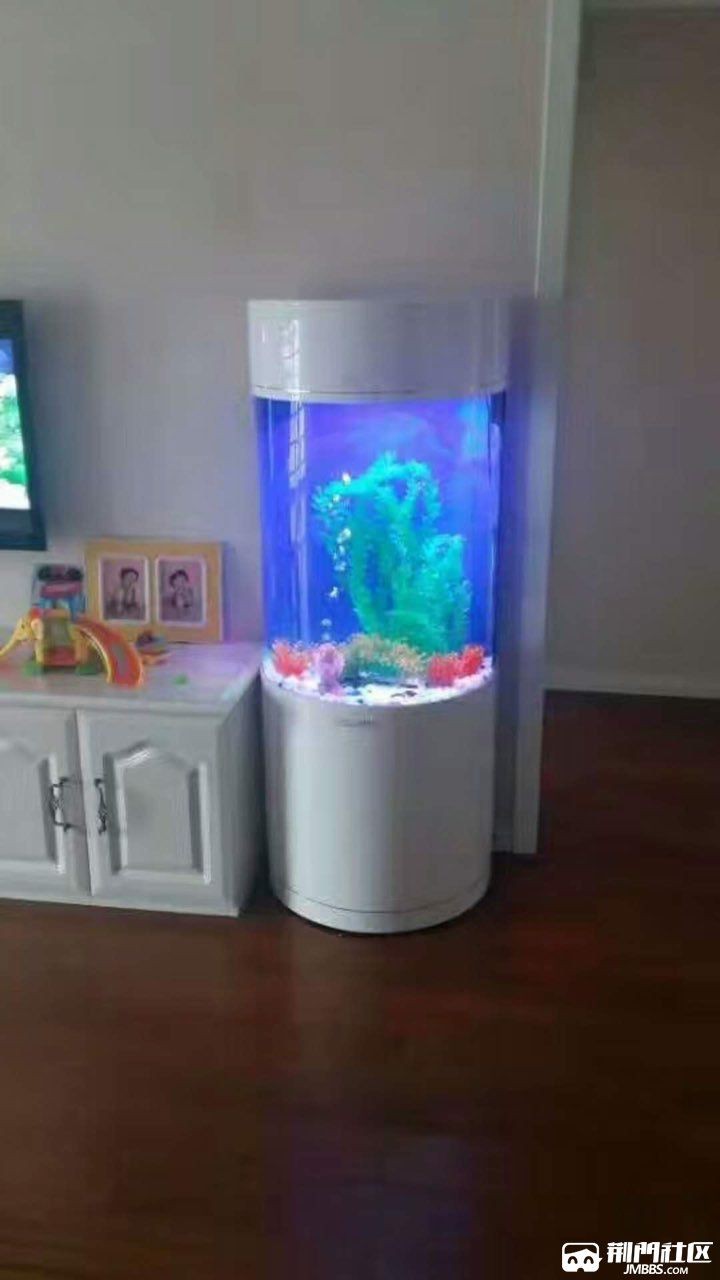 荊門魚缸批發市場：荊門魚缸批發市場分析