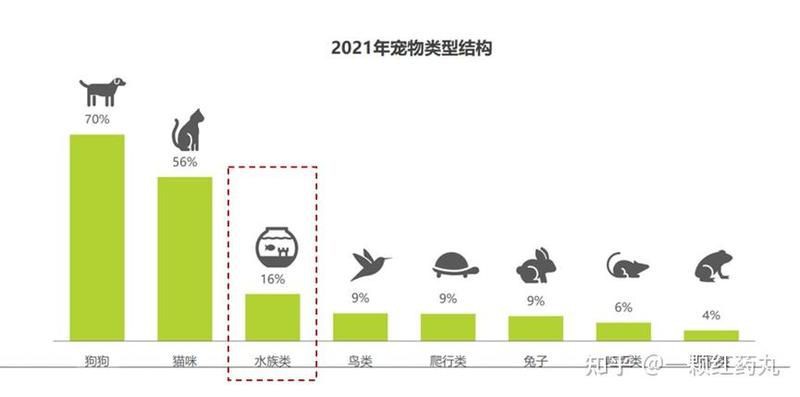 荊門魚缸批發市場：荊門魚缸批發市場分析