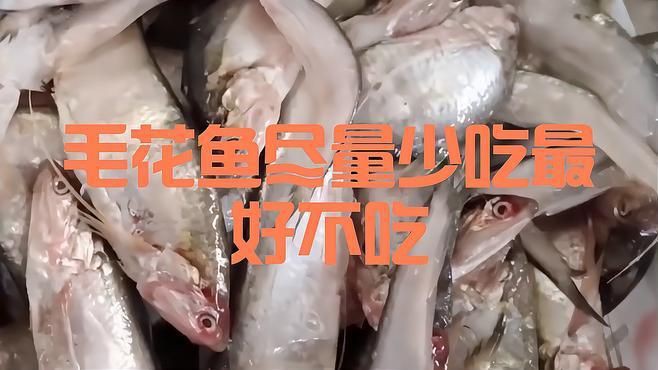毛刀魚為何盡量少吃：毛刀魚的健康風(fēng)險