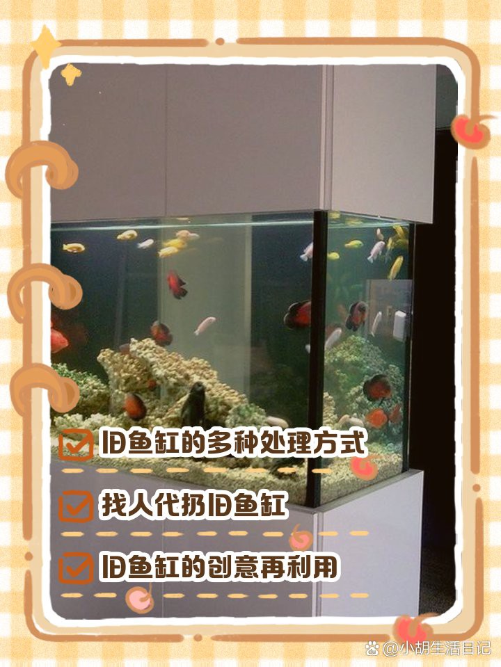 二手魚缸上門回收：二手魚缸上門回收服務占比達63%80套