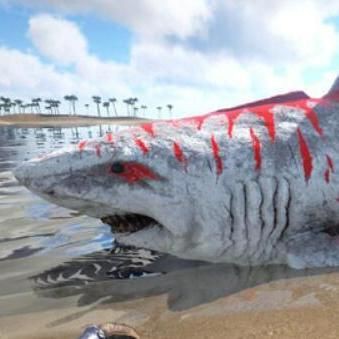 巨齒鯊百度百科：巨齒鯊與現代鯊魚有何區別