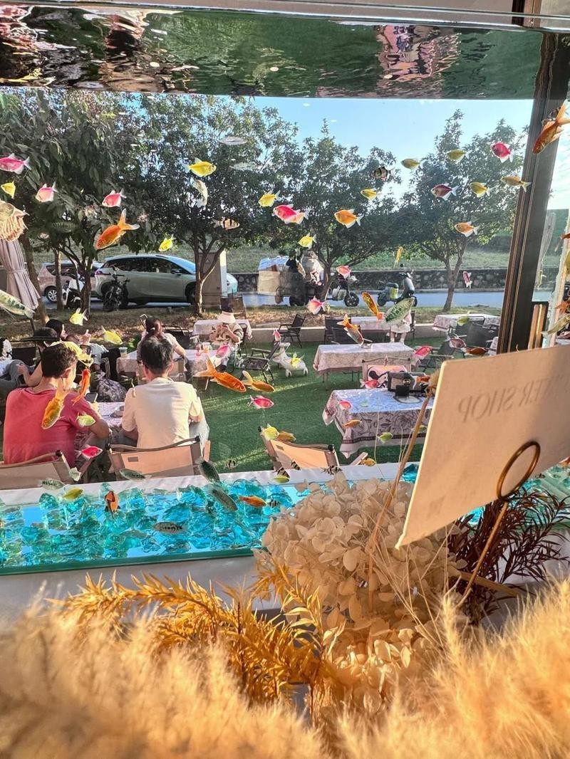 三水水族店：佛山市三水區(qū)主要水族店哪家口碑最好小觀園水族館有哪些特色品種