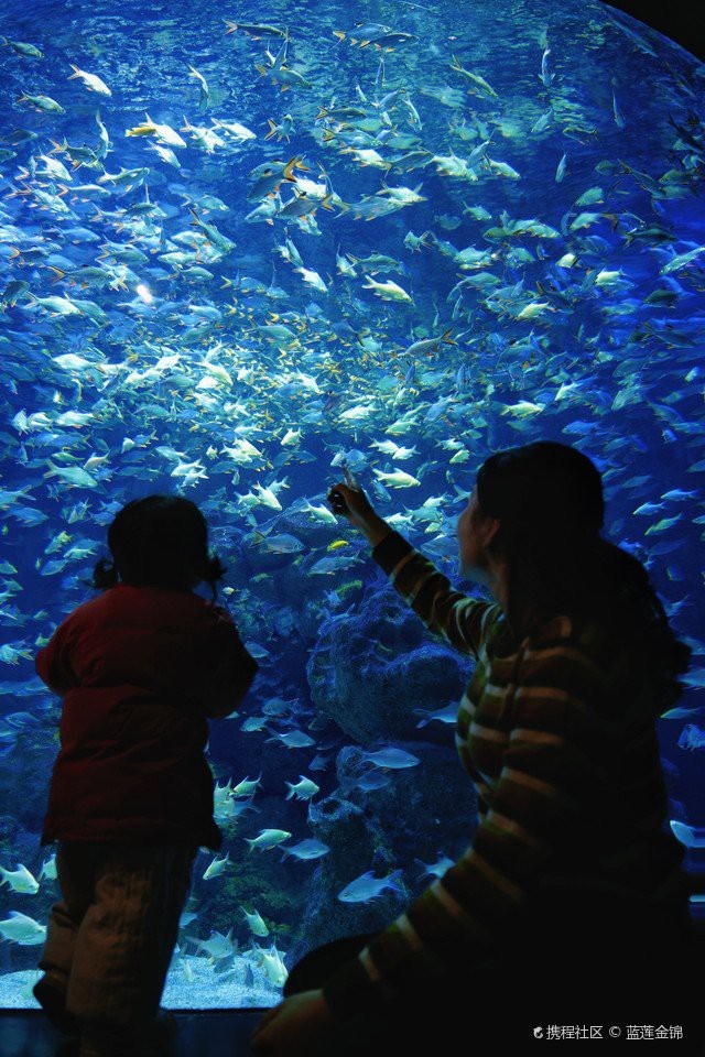 雙流水族店：*《雙流水族店》*，雙流水族店 雙流水族店：*《雙流水族店》*，雙流水族店 全國水族館企業(yè)名錄 第2張
