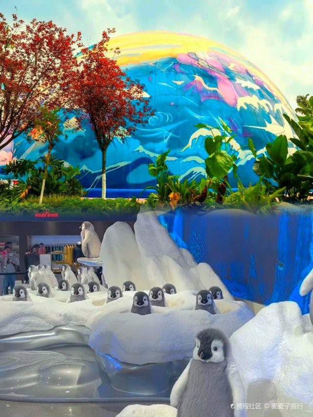 雙流水族店：*《雙流水族店》*，雙流水族店 雙流水族店：*《雙流水族店》*，雙流水族店 全國水族館企業(yè)名錄 第6張