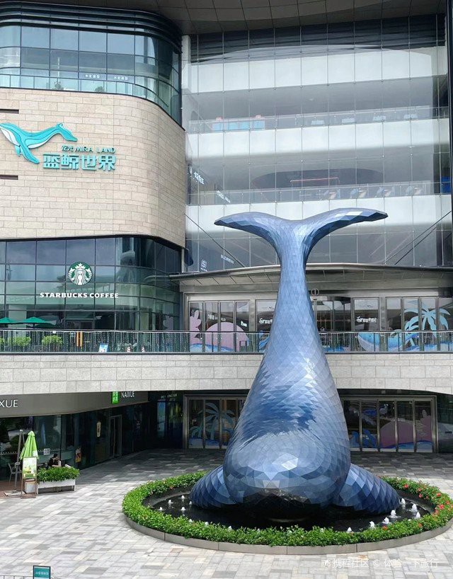 光明水族店：光明水族店的營業時間是光明水族店有哪些特色產品 光明水族店：光明水族店的營業時間是光明水族店有哪些特色產品 全國水族館企業名錄 第2張