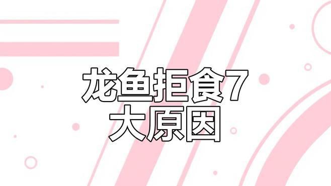 恐龍王魚很少吃食物：恐龍王魚拒食的7個常見原因及解決方案及解決方法