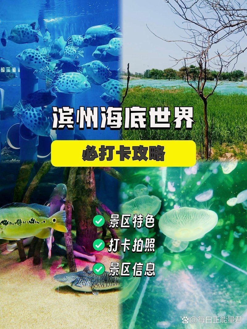 濱州水族館：濱州旅游攻略，濱州海底世界