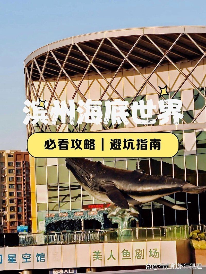 濱州水族館：濱州旅游攻略，濱州海底世界
