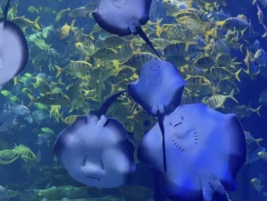 濱州水族館：濱州旅游攻略，濱州海底世界