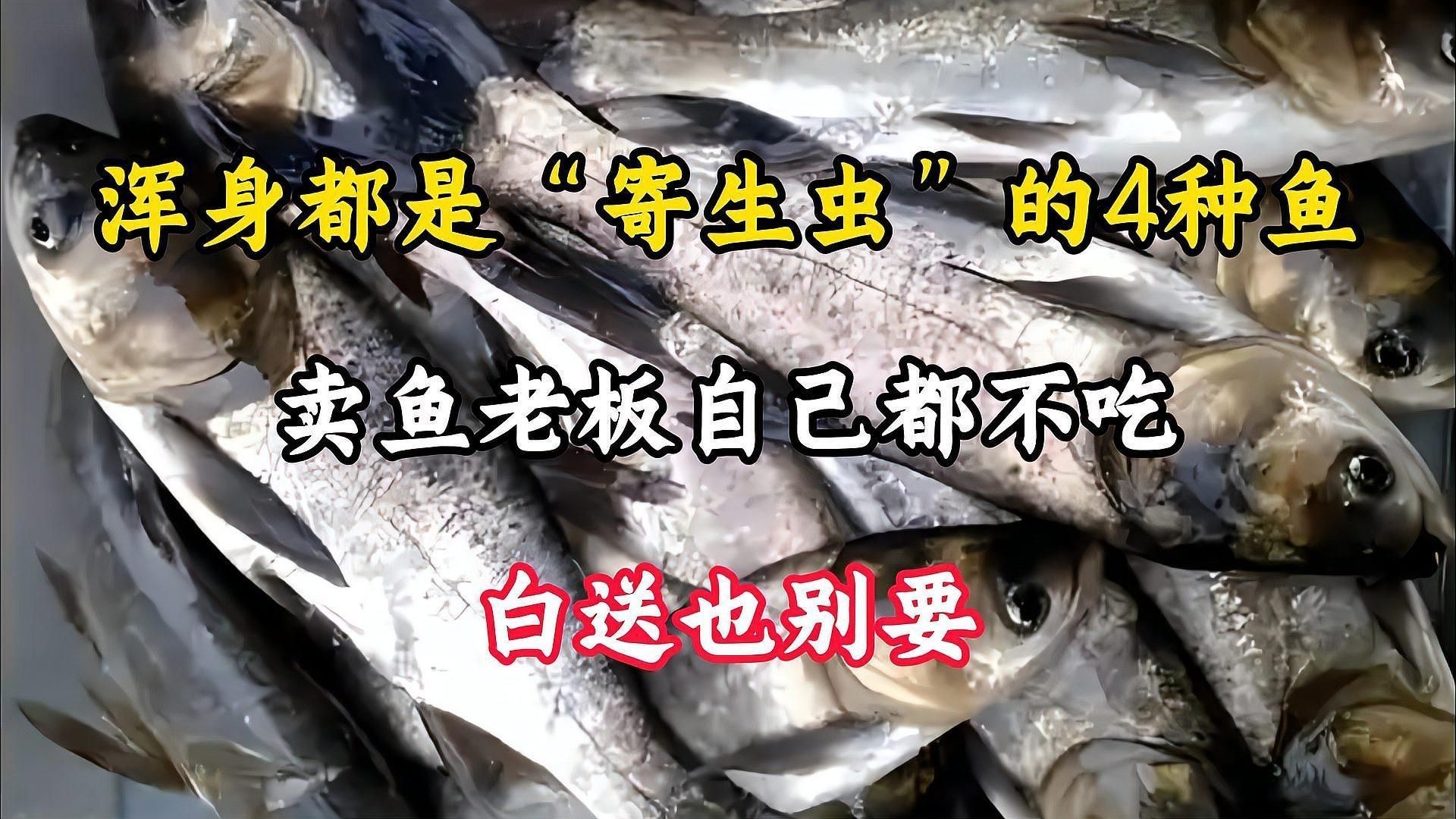有哪些常見的魚類寄生蟲：渾身都是“寄生蟲”的4種魚,賣魚老板自己都不吃