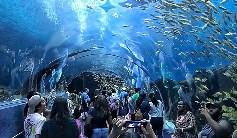 世界最大的水族館在哪個(gè)國家？：世界最大的水族館 世界最大的水族館在哪個(gè)國家？：世界最大的水族館 龍魚論壇 第5張