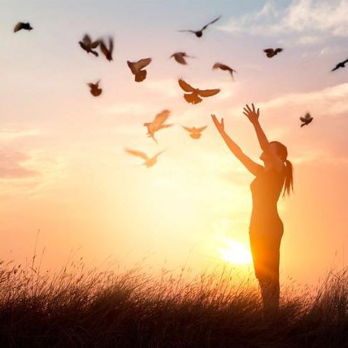 開福寺1~500羅漢解簽：開福寺所奉1至500羅漢解簽體系，展現著悲智雙運的圓滿境界